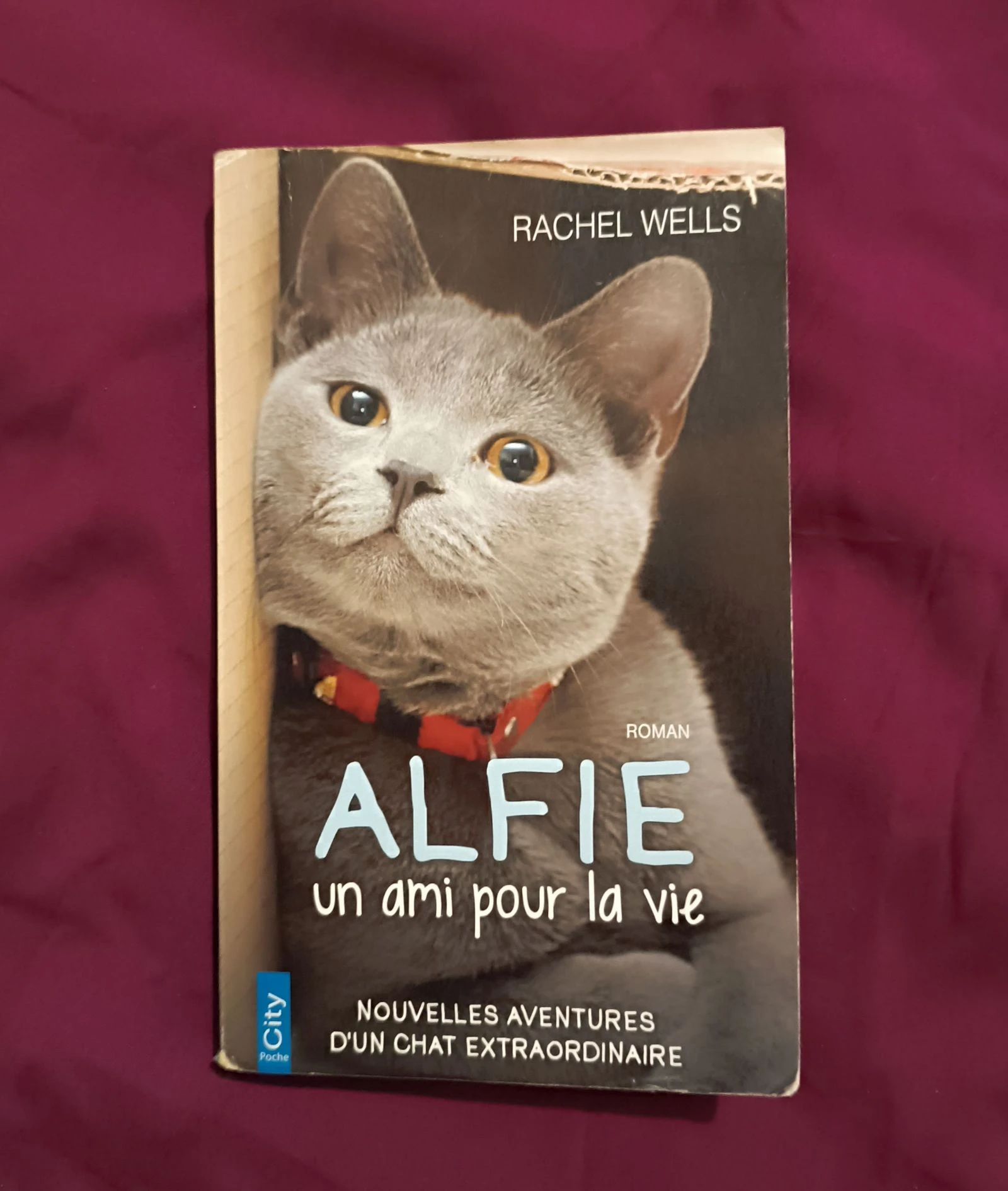 Livre alfie un ami pour la vie